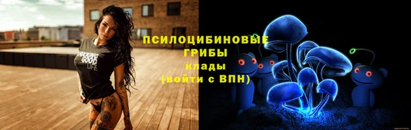 метадон Мегион
