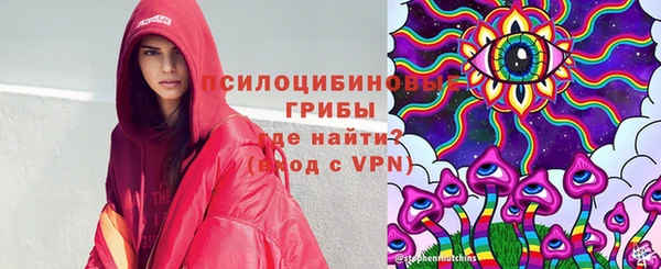 стаф Михайлов