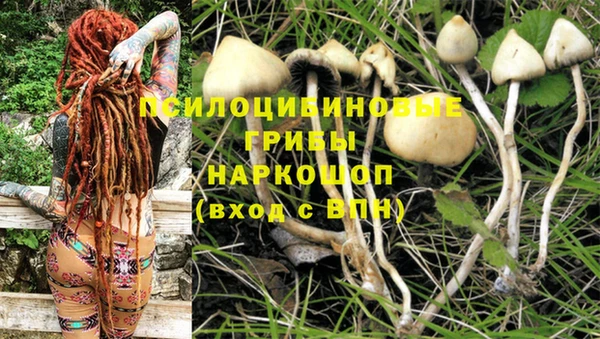 мет Медвежьегорск