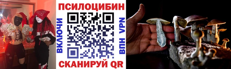 Купить где Котельнич Галлюциногенные грибы Psilocybine cubensis
